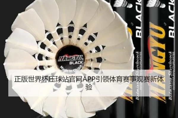 正版世界杯压球站官网APP引领体育赛事观赛新体验