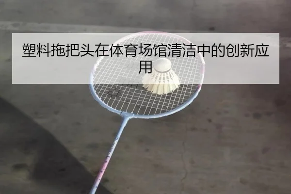 塑料拖把头在体育场馆清洁中的创新应用
