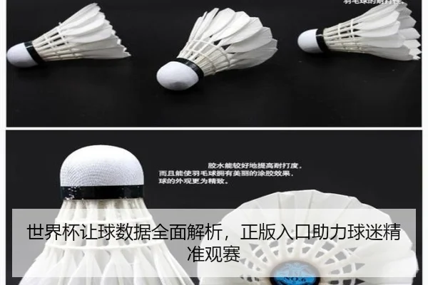 世界杯让球数据全面解析，正版入口助力球迷精准观赛