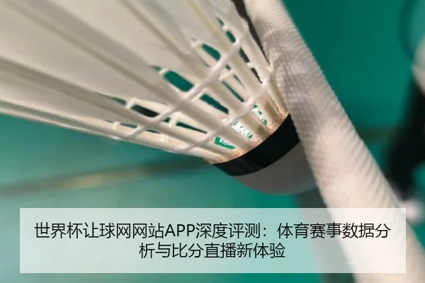 世界杯让球网网站APP深度评测：体育赛事数据分析与比分直播新体验